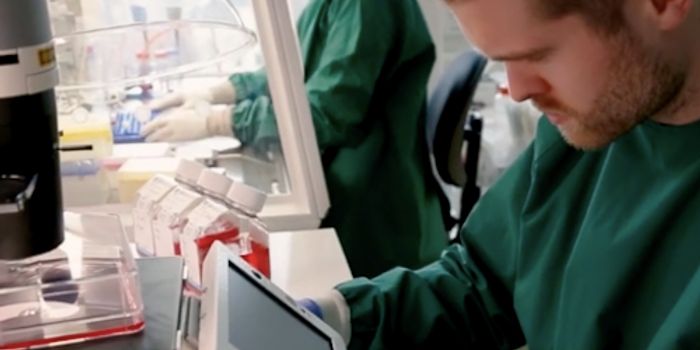 An Unhealthy Diet can Permanently Disrupt Fat Cells