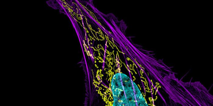 Is Osteosarcoma Inherited?