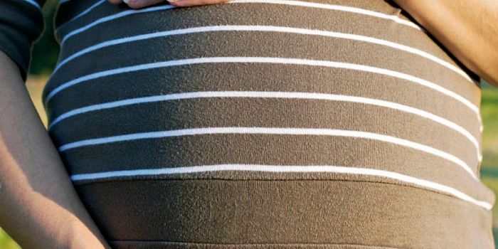 How Zika moves from mother to infect fetus