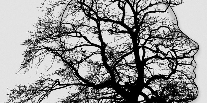 Visualizing and Understanding the Branching Growth of Neurons