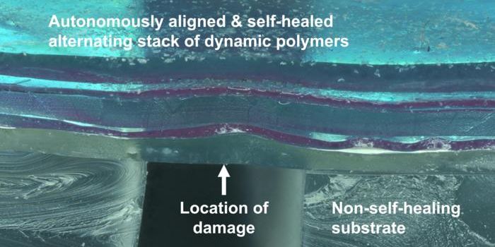 Synthetic Skin Developed with Self-Healing Abilities