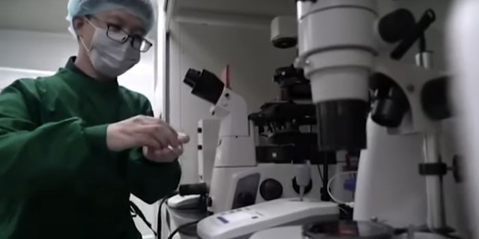 The Fallout From the CRISPR Infant Experiment Continues