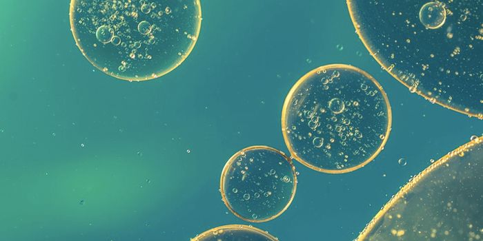 New Work Sheds Light on the Autism-Microbiome Link