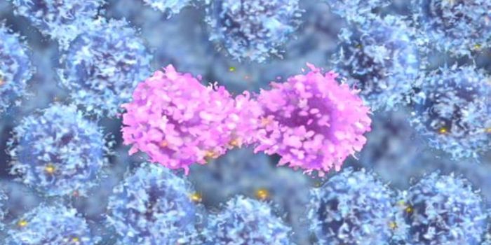 Using Imaging to Understand Cancer Growth