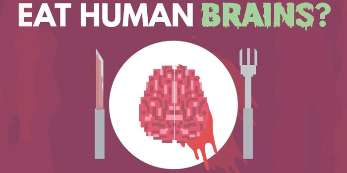 The Perils of Eating a Human Brain