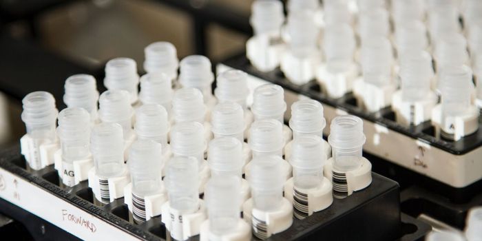 Are COVID-19 Antibody Tests a Back-to-Work Pass?