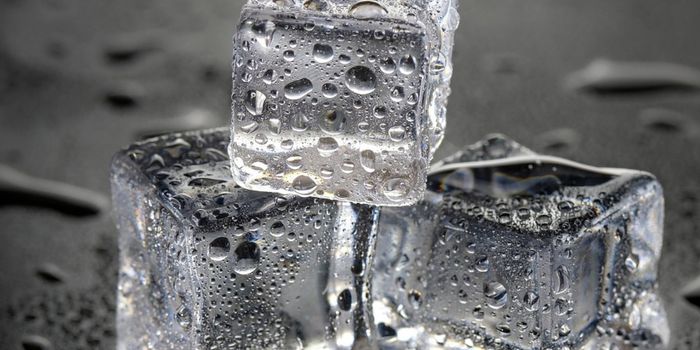 Revealing the Mechanisms Behind Cold Sensations