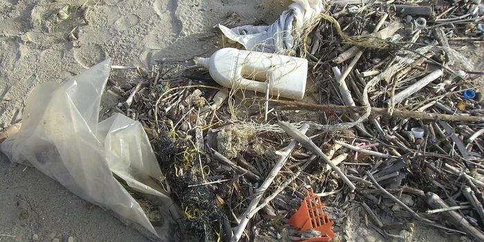The EU aims to eradicate single-use plastics by 2021