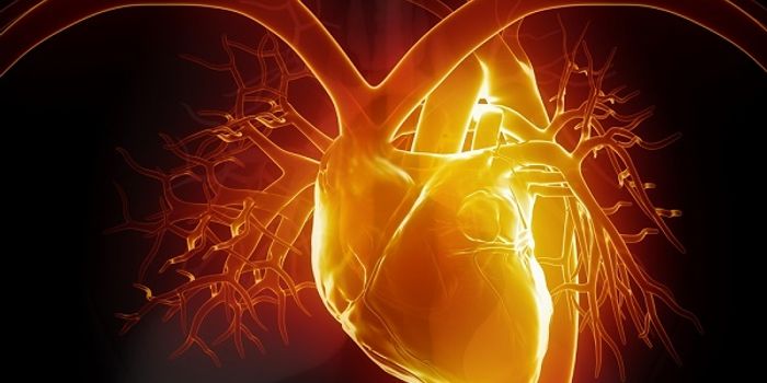 Fierce Anger Burst May Spur Heart Attack Shortly After