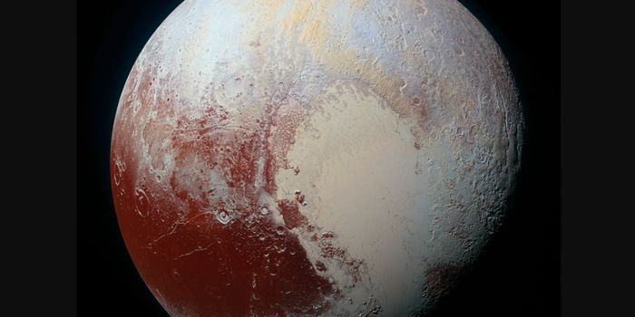 We Will Find Life on Pluto
