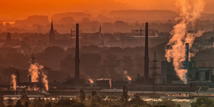 How to produce less pollution throughout your day