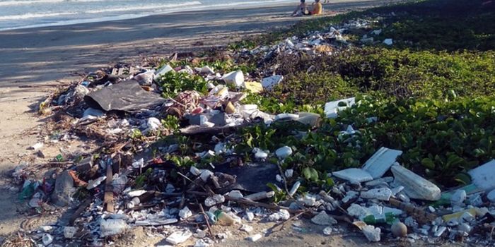 Microplastics Found in Clogged Arteries