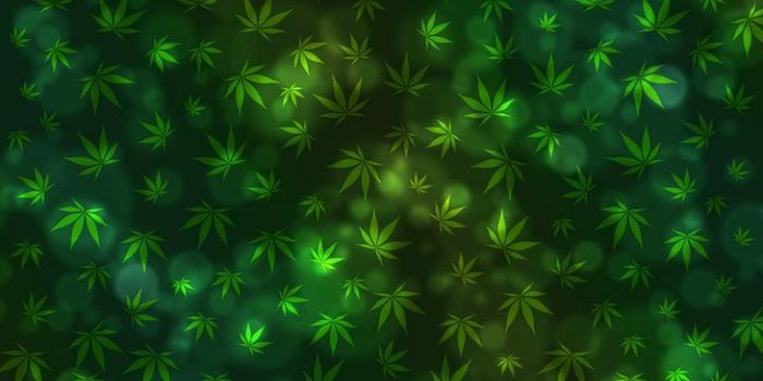 Research Roundup: A Year in Medical Cannabis News (Part II)