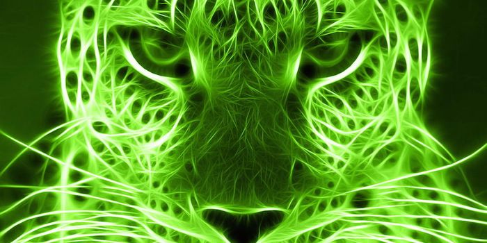 Evolutionary Legacy to Our Liking Green: It's Not Just About Money