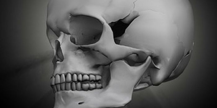 A Korean Study Shows Gains in Head Size