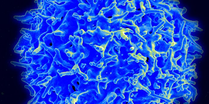 Dramatic Remissions Seen in Immunotherapy Trial