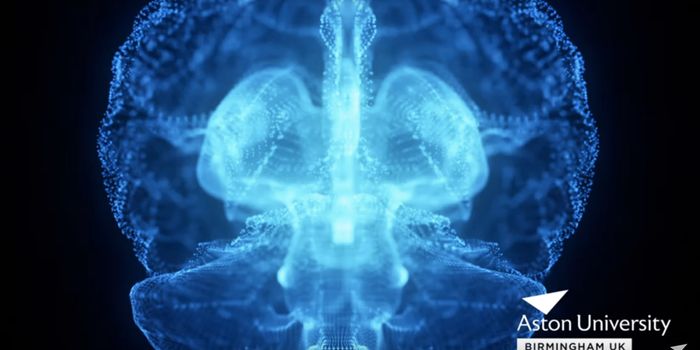 Potential Treatment for Brain and Spinal Cord Injury is IDed