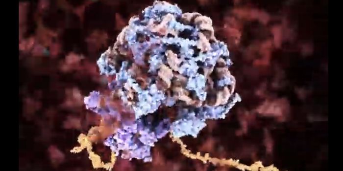 A Critical Step in Ribosome Assembly is Viewed For the First Time