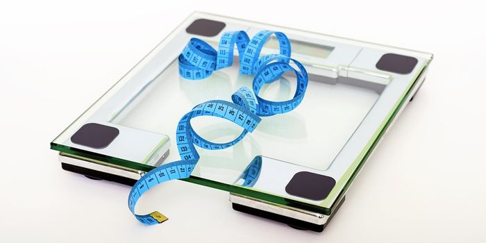 Insight Into the Molecular Basis of Obesity