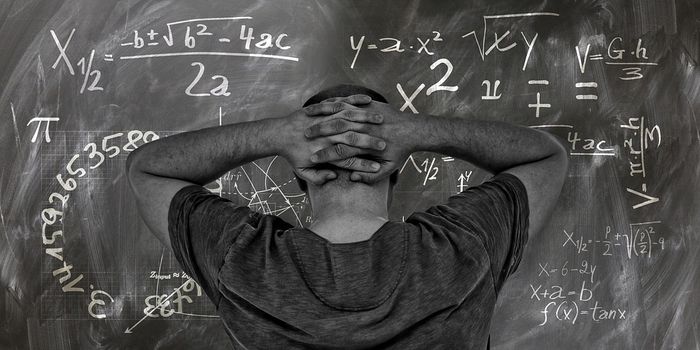 Where does the energy go in singlet fission?