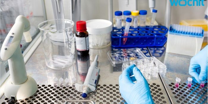 Fundraising is Crucial To Cancer Research