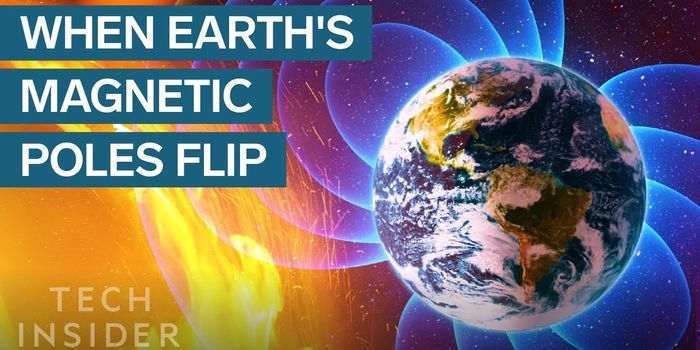 How A Polar Flip Would Impact the Earth