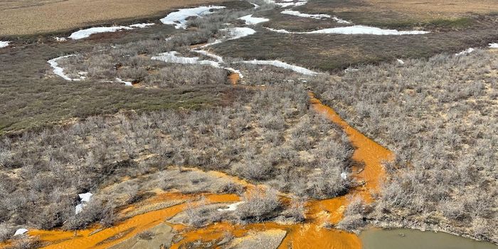 Warming Arctic Rivers are Turning Orange & Emitting Carbon