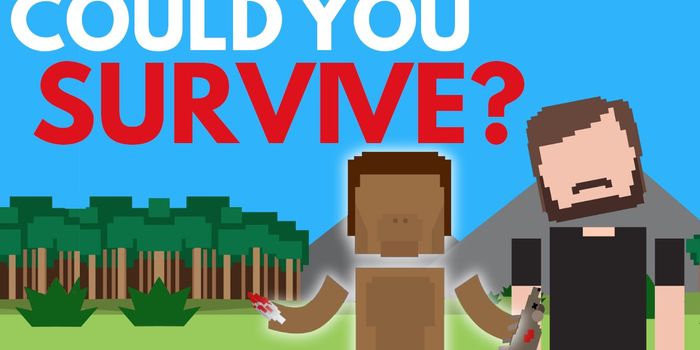 Would You Be Able to Survive 2.5 Million Years Ago?