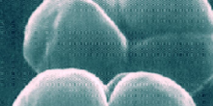 Mass Extinction May Have Been Caused by Microbes and Methane