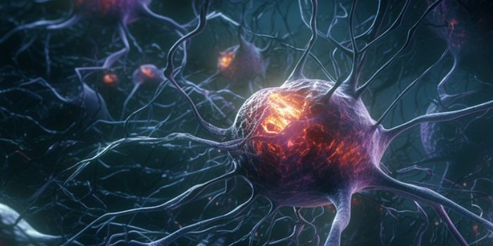 Are Fat Droplets a Cause of Alzheimer's?