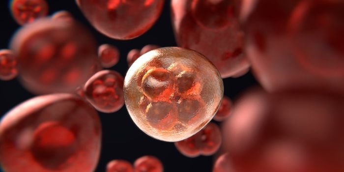 Fibronectin Could Act as a Biomarker for Early Prognosis of Live Cancer