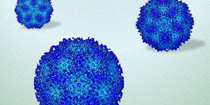 Viruses Captured at High Resolution as They Moved in 3D