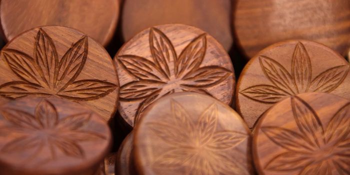 Can Cannabis Help Manage Symptoms of Multiple Sclerosis?