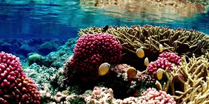 What happens if Zinke opens up three national marine monuments to commercial fishing?