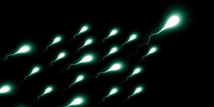 Surprising Study Finds that Pot May Increase Sperm Concentrations