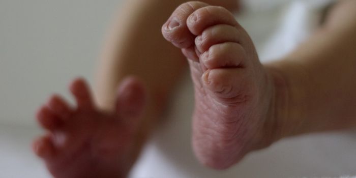 Gut Bacteria May Influence Infant Brain Development