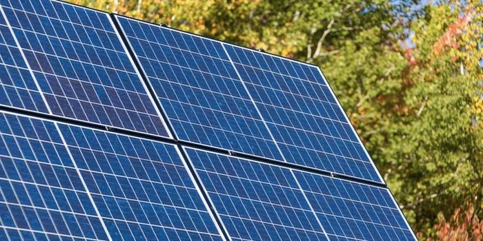 A New Microbe is Discovered in an 'Unnatural' Environment