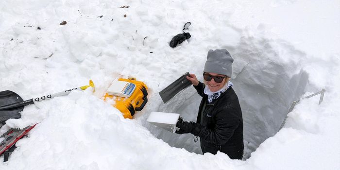 Snow, Wildfires, and the Outdoors | Ally Fitts, MS Student at the University of Nevada, Reno