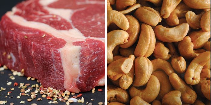 Blood Lipid Profiles Indicate Plant Oils are Healthier Than Animal Fats