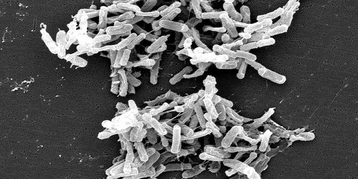 Sugar Additive Linked to Bacterial Epidemics