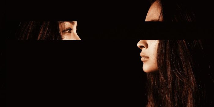 'What is this "I" I call myself?' New research on the role of the ventral medial prefrontal cortex in personal identity