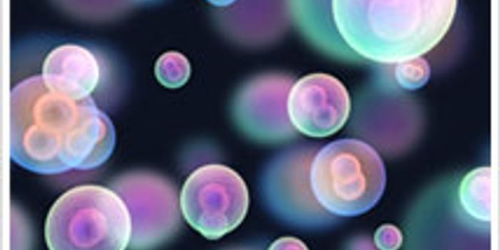 Nature, Nurture, Noise