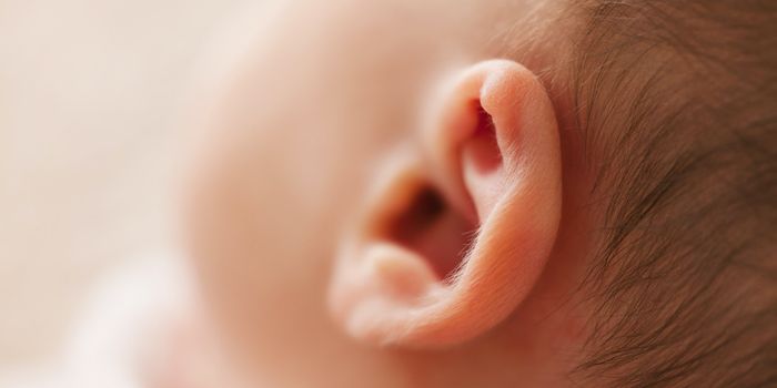 New Device Inactivates Bacteria That Cause Ear Infections