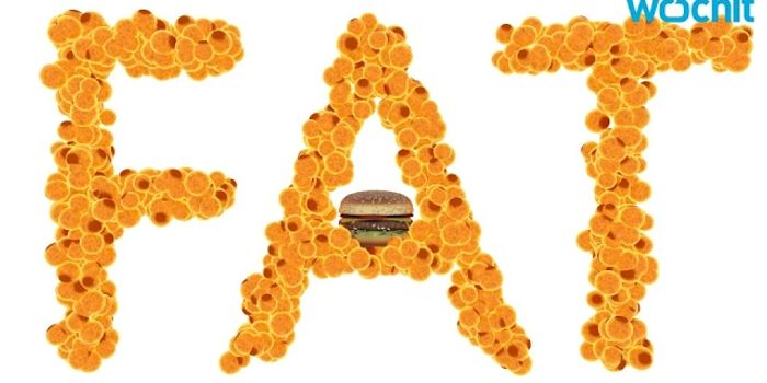 Fat Content of Cells Can Change Over Time