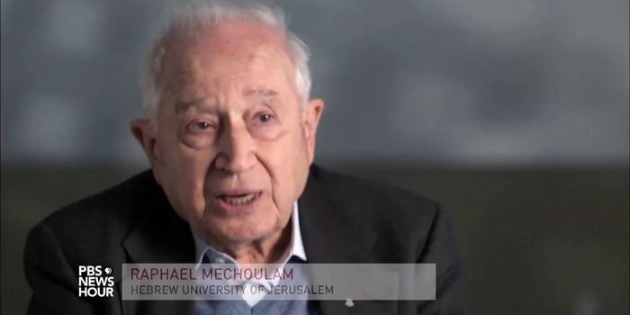 First Medical Marijuana Conference at Harvard Medical School