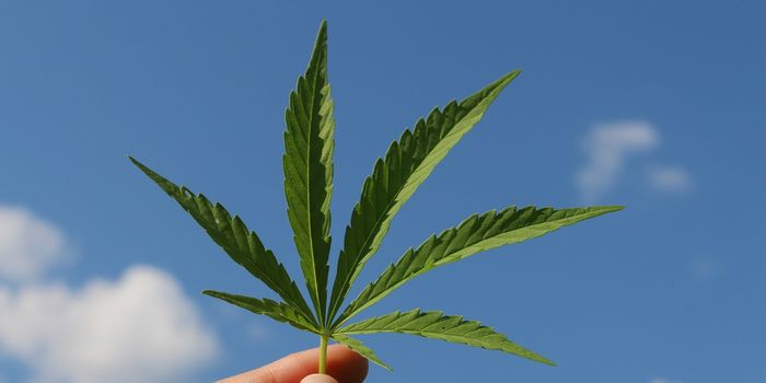 Cannabinoids in Cancer Treatment: A Double Benefit for Patients