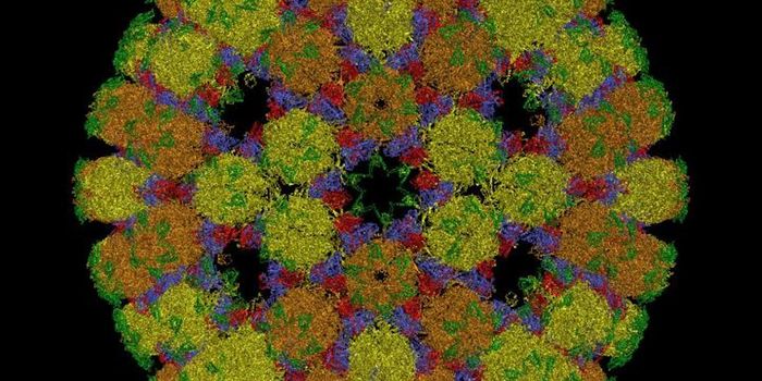 Rethinking the Way Viruses Are Classified