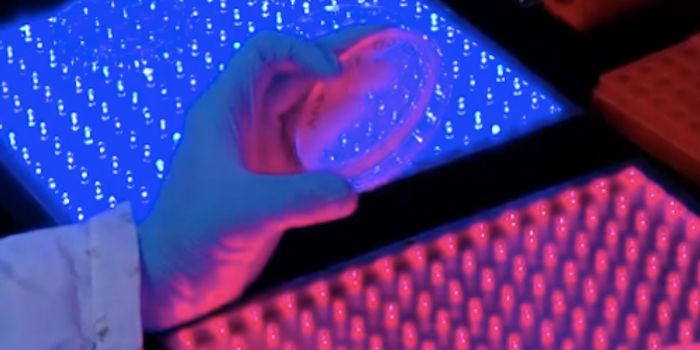 How A Therapeutic Gene Circuit Might Work