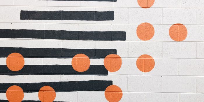 Gut Bacteria Slip Into the Pancreas, Cause Cancer