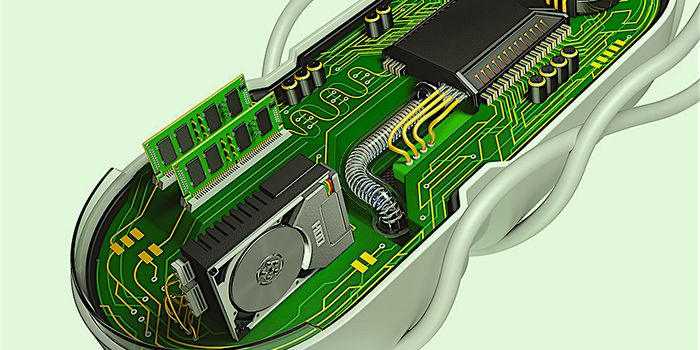 Live Cells Can Compute Using Gene Circuits